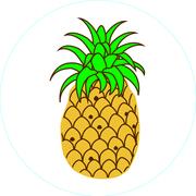 Bogg Bag Bit - Pineapple